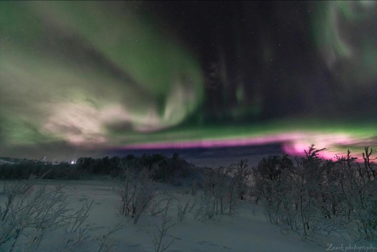 Abisko Guesthouse & Activities Dış mekan fotoğraf