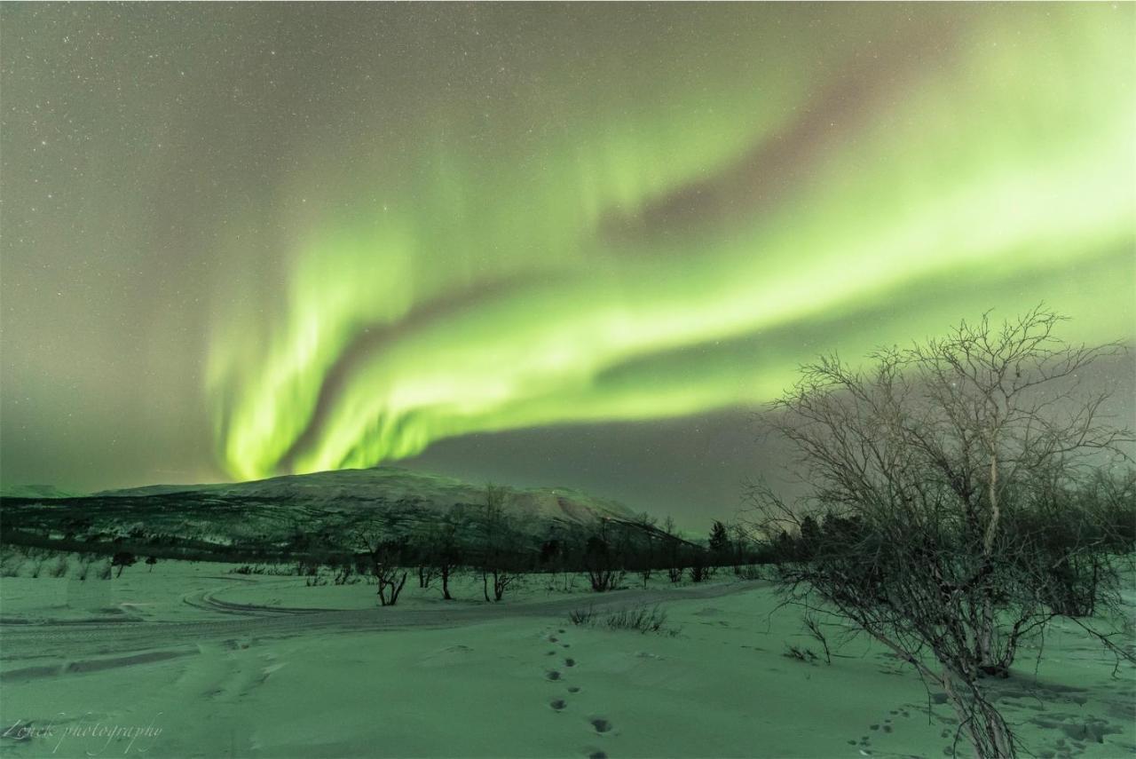 Abisko Guesthouse & Activities Dış mekan fotoğraf